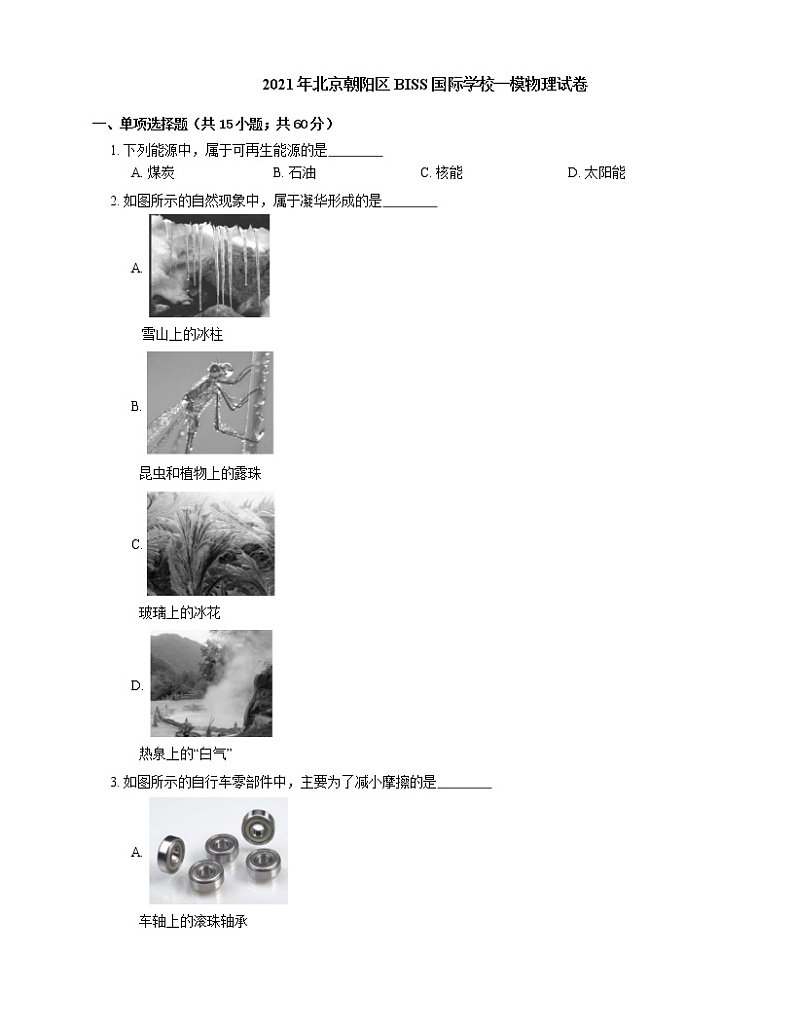2021年北京朝阳区BISS国际学校一模物理试卷01