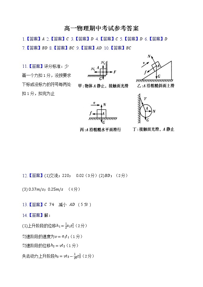 广东省汕头市金山中学2021-2022学年高一上学期期中考试物理含答案01