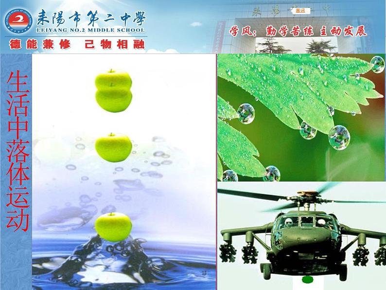 人教版（新课标）高中物理必修一第二章匀变速直线运动的研究—— 自由落体运动课件PPT第3页