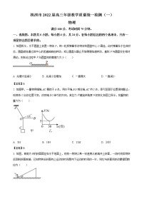 2022届湖南省株洲市高三（上）教学质量统一检测（一模）物理试题含答案