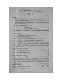 2022届山东省临沂高三一模物理试卷无答案