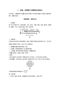 物理选择性必修 第一册4 实验：用双缝干涉测量光的波长学案及答案