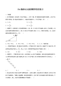 高中物理人教版 (2019)必修 第二册4 抛体运动的规律测试题