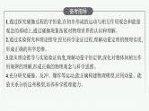 人教版新高考物理一轮总复习--动量和动量定理课件PPT
