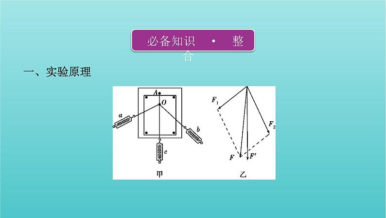 浙江版2022年高考物理总复习实验2探究求合力的方法课件第2页