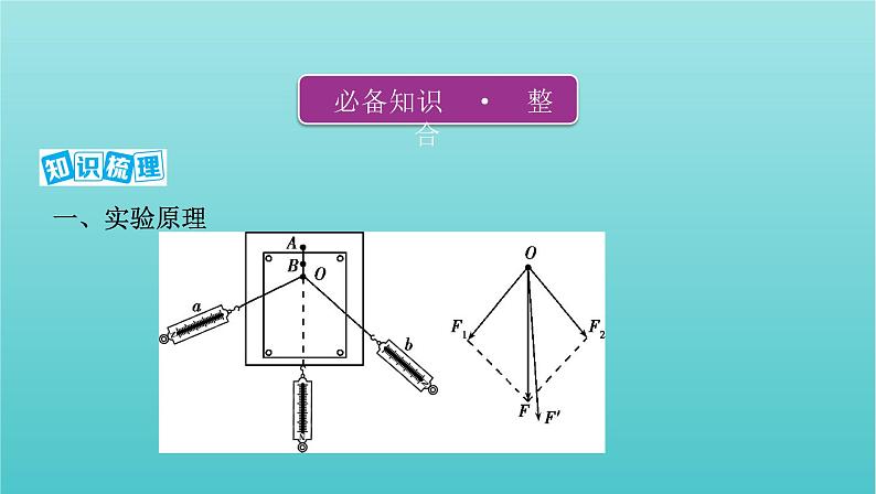 2022年新教材高考物理总复习第二章相互作用第7讲实验：探究两个互成角度的力的合成规律课件第2页