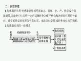 人教版新高考物理一轮总复习--实验19　利用传感器制作简单的自动控制装置课件PPT