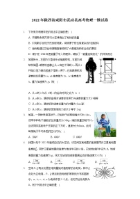 2022年陕西省咸阳市武功县高考物理一模试卷（含答案）