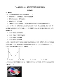 2021届广东省梅州市高三下学期3月高考总复习质检物理试卷（解析版）