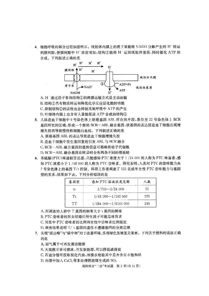 成都市2022届高三毕业班二诊 理科综合试题（含答案）02
