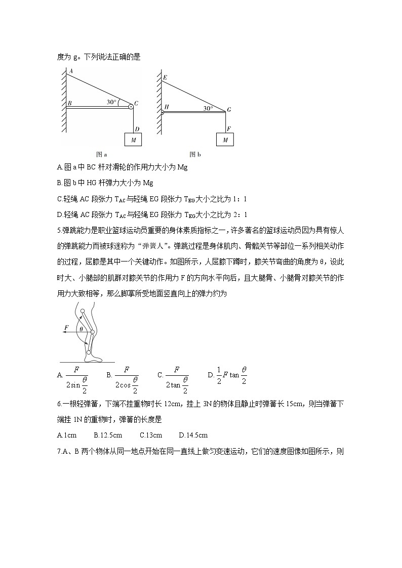 2021汕尾高一上学期期末物理含答案 试卷02