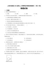 2022届上海市杨浦区高三上学期等级考模拟质量调研（一模）考试物理试卷（PDF版）