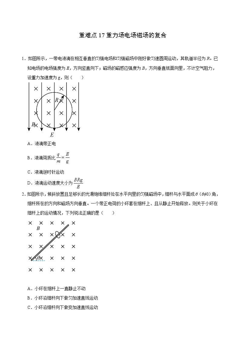 重难点17重力场电场磁场的复合（原卷版）- 学霸向前冲高考物理二轮重难点必刷第1页