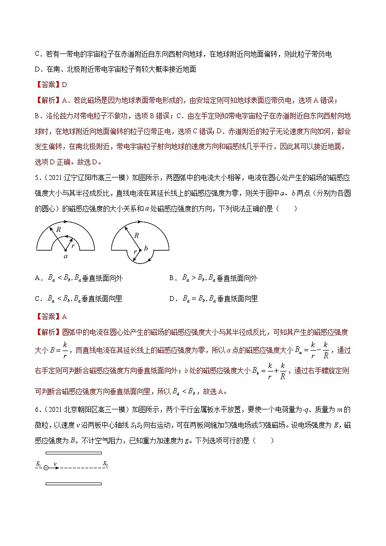 专题10  磁场-2021年新高考物理模拟题分项汇编03