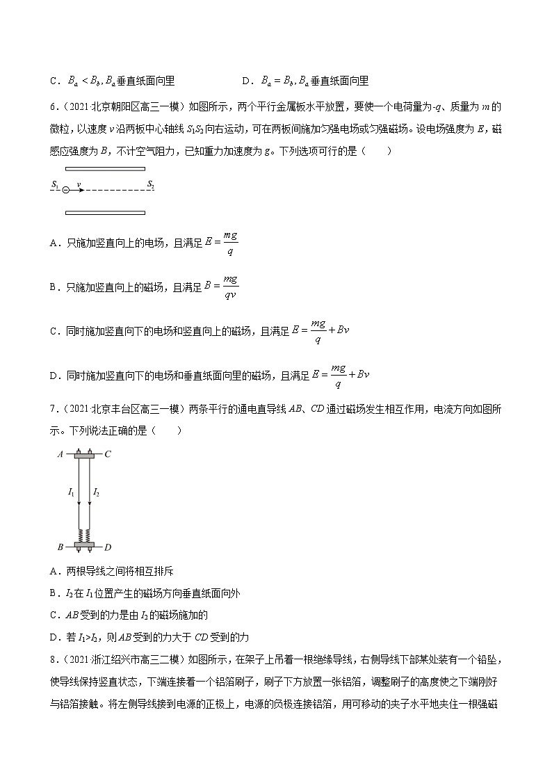 专题10  磁场-2021年新高考物理模拟题分项汇编03