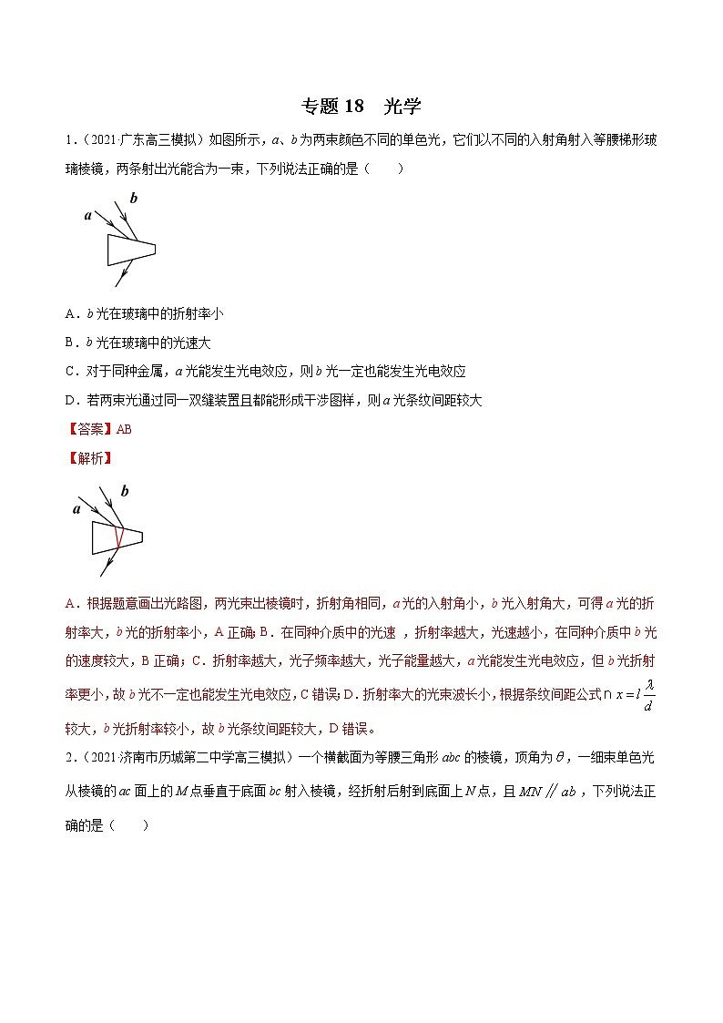 专题18  光学-2021年新高考物理模拟题分项汇编01