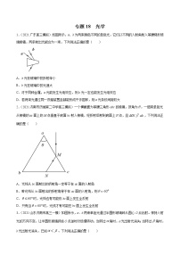 专题18  光学-2021年新高考物理模拟题分项汇编