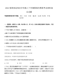 2022届陕西省西安中学高三下学期第四次模拟考试理科综合试题