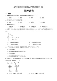 2022届上海市金山区高三上学期一模物理试卷（word版）