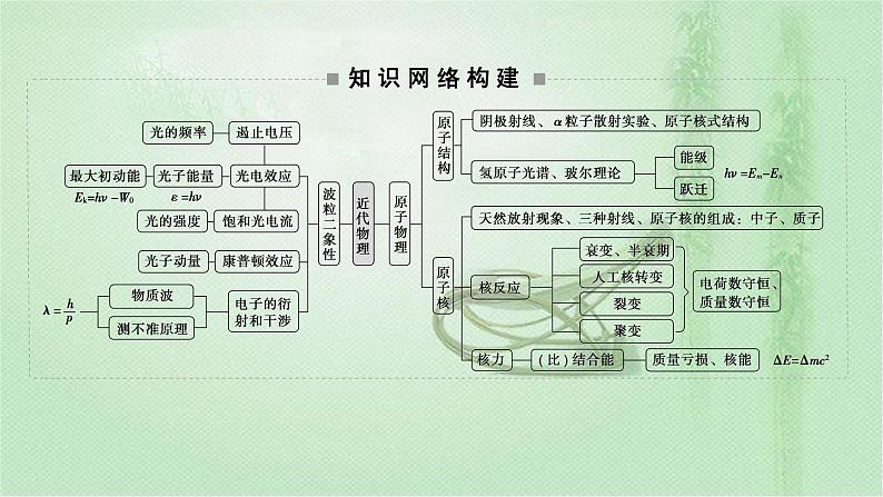 2022新高考二轮复习 专题五　光电效应　原子结构　原子核 课件（55张）第2页