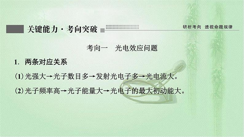 2022新高考二轮复习 专题五　光电效应　原子结构　原子核 课件（55张）第3页