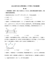 2022届河北省九师联盟高三下学期3月质量检测物理试题含答案