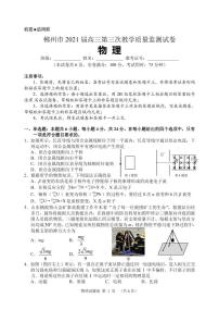 2021届湖南省郴州市高三三模物理（图片版、含答案）练习题