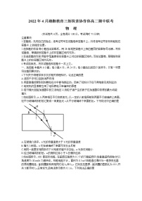 2022湖南省湖湘教育三新探索协作体高二下学期期中考试物理含解析