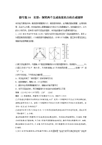 2023届高考物理加练必刷题（新高考版）第二章 微专题16　实验：探究两个互成角度的力的合成规律【解析版】