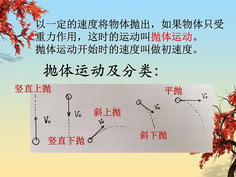 高中物理沪科教课标版必修二2、平抛运动的规律课件第5页