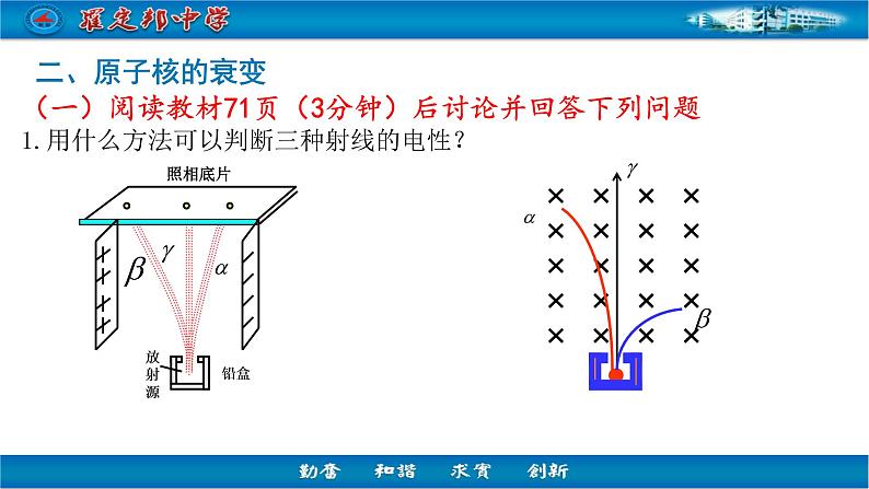 高中物理粤教课标版 核衰变与核反应方程放射性元素的衰变部优课件第4页