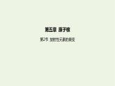 新人教版高中物理选择性必修第三册第五章原子核第2节放射性元素的衰变课件