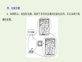 新人教版高中物理选择性必修第二册第三章交变电流实验探究变压器原副线圈电压与匝数的关系课件