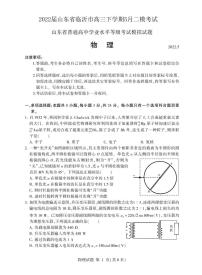 2022届山东省临沂市高三下学期5月二模考试物理试题 PDF版