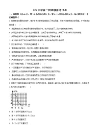 2022届上海市七宝中学高三（下）模拟考试物理试题