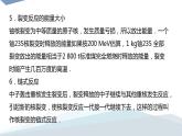 2022-2023年人教版(2019)新教材高中物理选择性必修3 第5章原子核5-4核裂变与核聚变5“基本”粒子课件