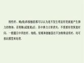 2022-2023年高考物理一轮复习 第3章牛顿运动定律能力课牛顿运动定律的综合应用课件
