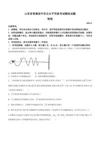 2022年山东临沂高三三模物理试卷及答案