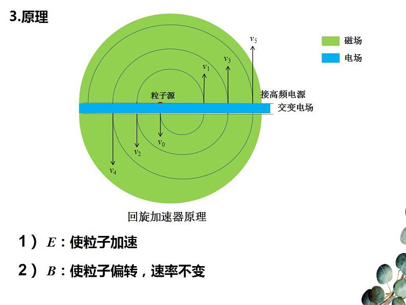 2022-2023年人教版(2019)新教材高中物理选择性必修2 第1章安培力与洛伦兹力1-4质谱仪与回旋加速器课件第6页