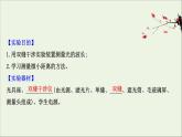 2022-2023年鲁科版(2019)新教材高中物理选择性必修1 第5章光的干涉、衍射和偏振5-2科学测量：用双缝干涉测光的波长课件