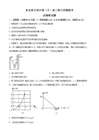 2022届辽宁省沈阳市浑南区东北育才学校高中部高三（下）第六次模拟考试物理试题（原卷版）