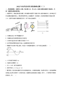 2022山东省肥城市高三下学期高考适应性训练（高考仿真模拟）物理试题（二）含解析