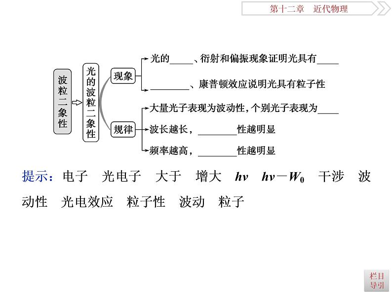 2022-2023年高考物理二轮复习 12-1光电效应课件05