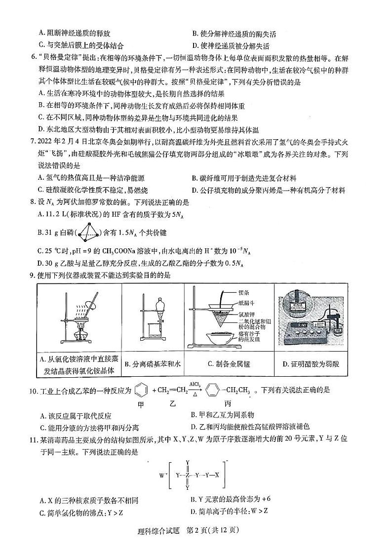 安徽省合肥市第六中学2022届高三考前诊断预测卷理科综合试题（化学生物物理）pdf版第2页