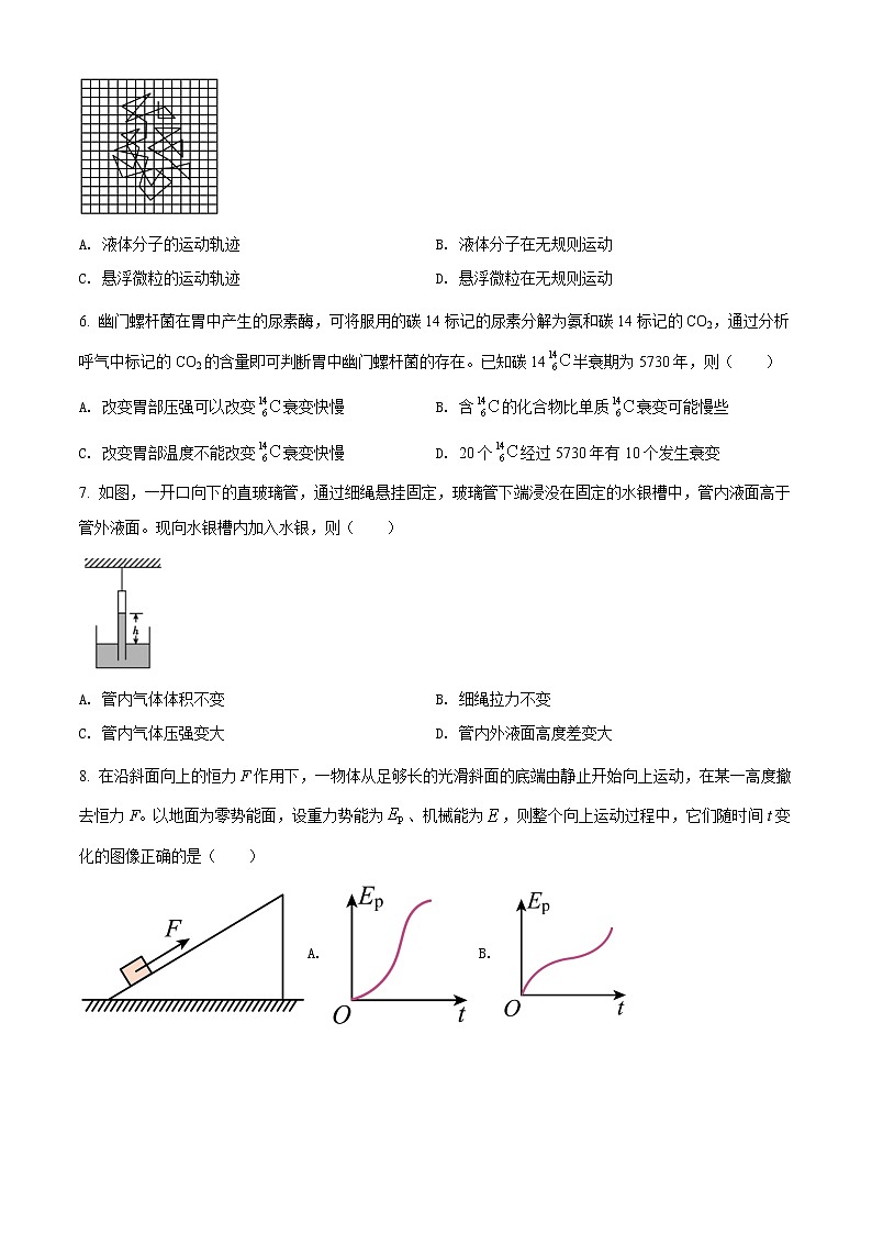 2022年上海市奉贤区高三（下）等级考二模物理试题（含详解）02