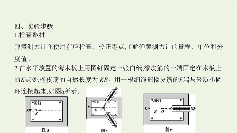 鲁科版高中物理必修第一册第4章力与平衡实验探究两个互成角度的力的合成规律课件第7页