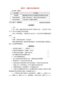 高中第四节 动量守恒定律的应用导学案