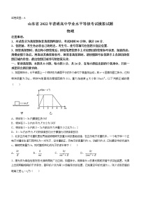 2022届山东省潍坊市普通高中学业水平等级考试模拟试题 物理 word版