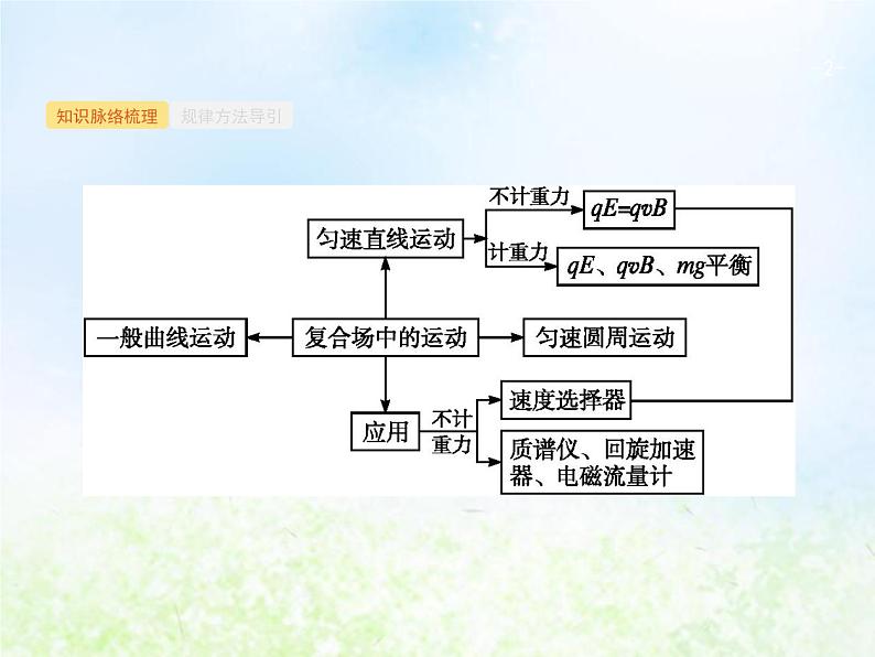 人教版高考物理二轮复习第10讲带电粒子在组合场复合场中的运动课件02