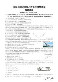 2021届黑龙江省八校高三摸底考试物理试卷 PDF版